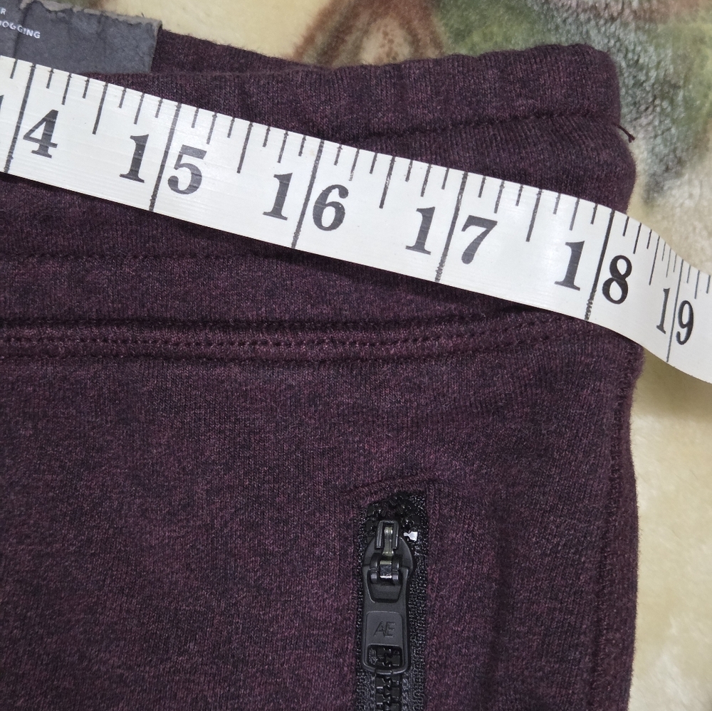 American Eagle Fleece Dark Plum Jogger Pants Mens  Active Loungewear Sz Large - Picture 15 of 16